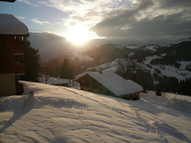 L'hiver au balcon.