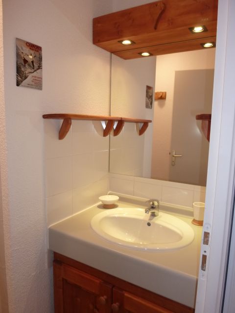 Salle d'eau avec douche, radiateur sèche-serviettes, et placard sous lavabo.