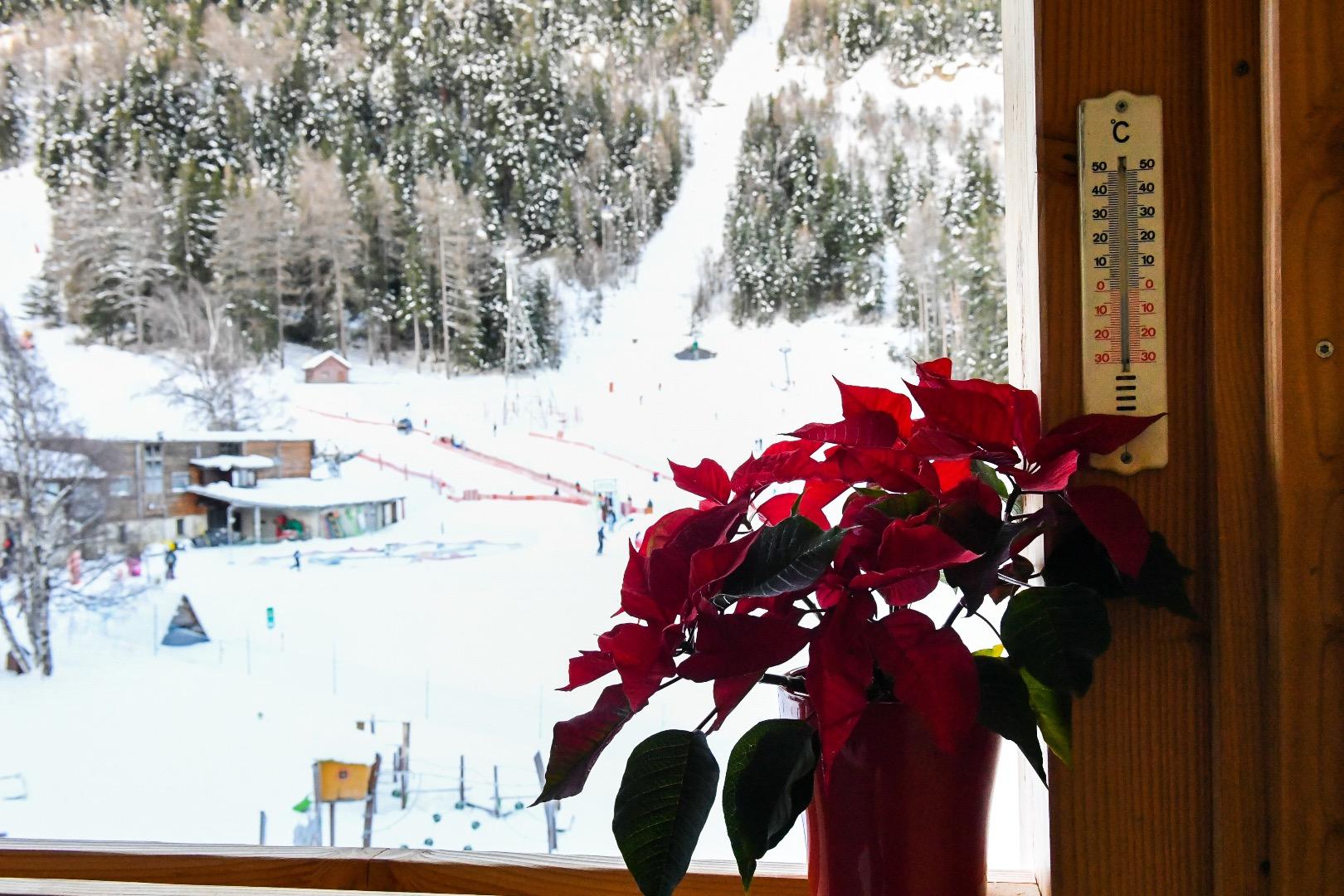 Vue du balcon sur les pistes