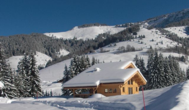 Façade Ouest - chemin privatif  pour le chalet