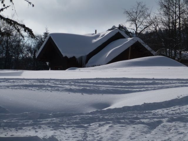 Malgré les pistes proches skis et fond, le chalet et dans un environnement très calme , on peut chausser les skis à 10 m du chalet