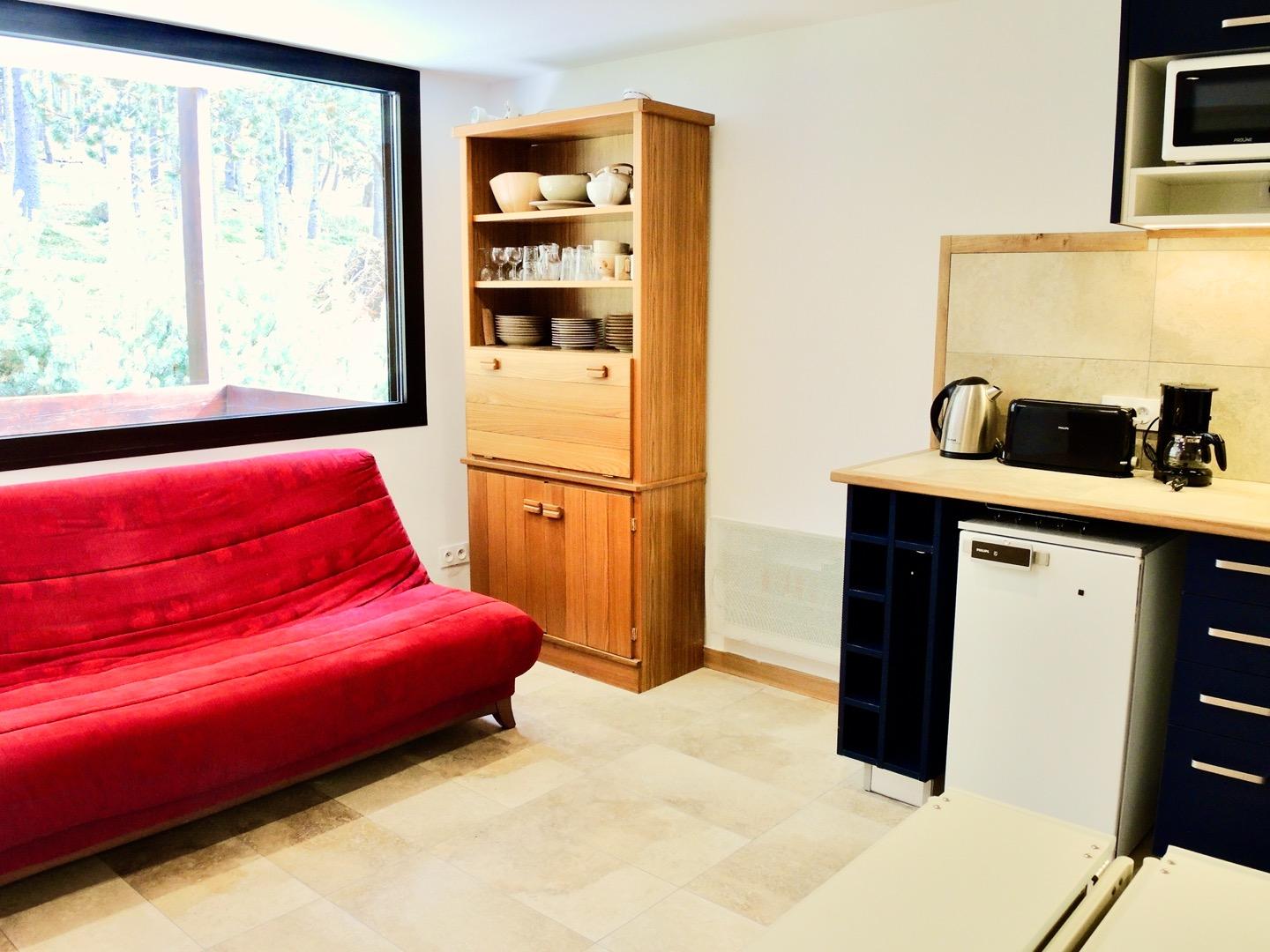 Sofa convertible, baie et porte neuves à double vitrage et volets roulants.
1er meuble de rangement en orme blond et son bar. Radiateur radiant.
Derrière la grande baie, la terrasse face à la forêt et aux pistes.
