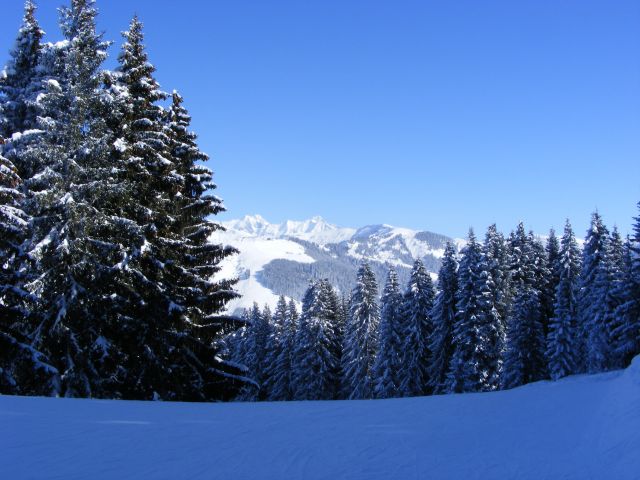 les pistes de ski