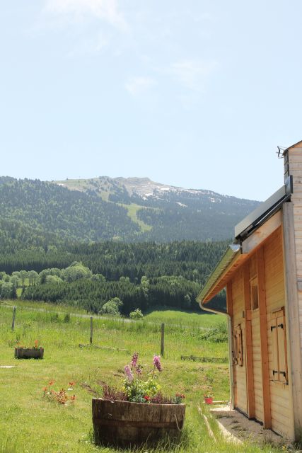 Une vue sur les cimes 