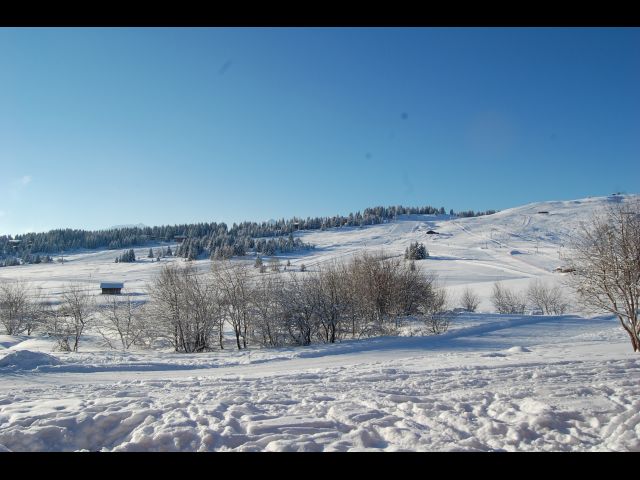 Vue prise de la terrasse/balcon sur la forêt des rennes avec légèrement sur la droite hors photo le Mont Bizanne.