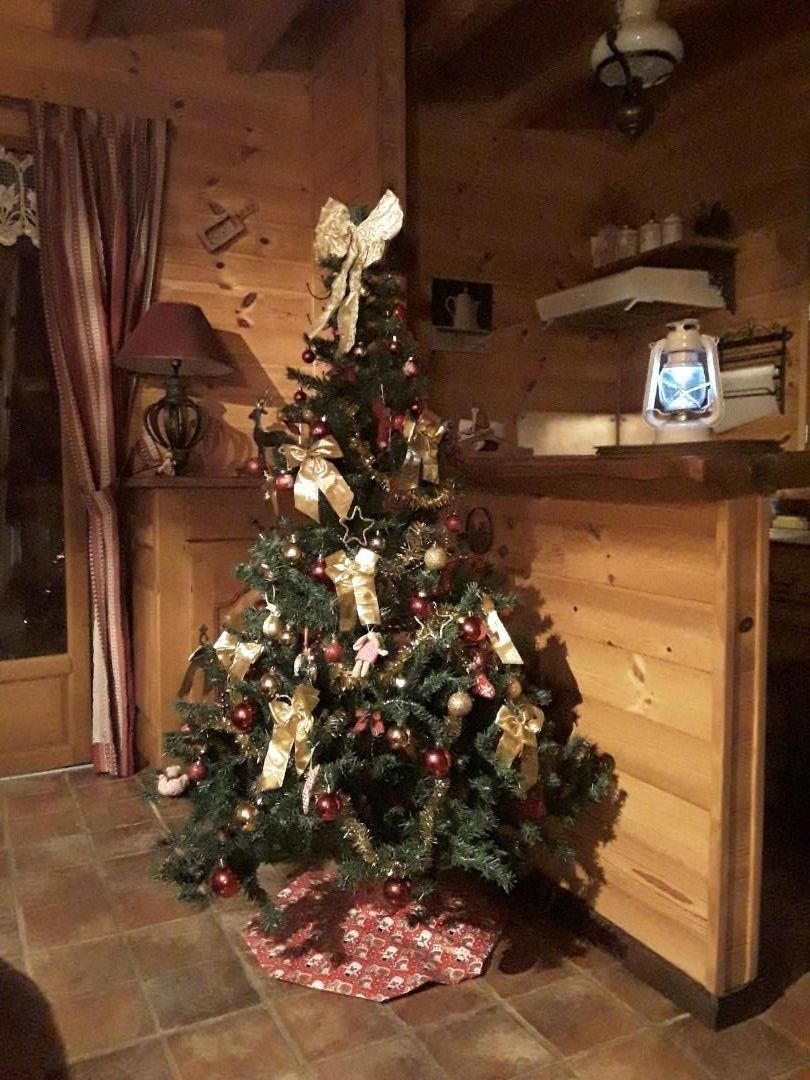 Sapin de Noel dans séjour