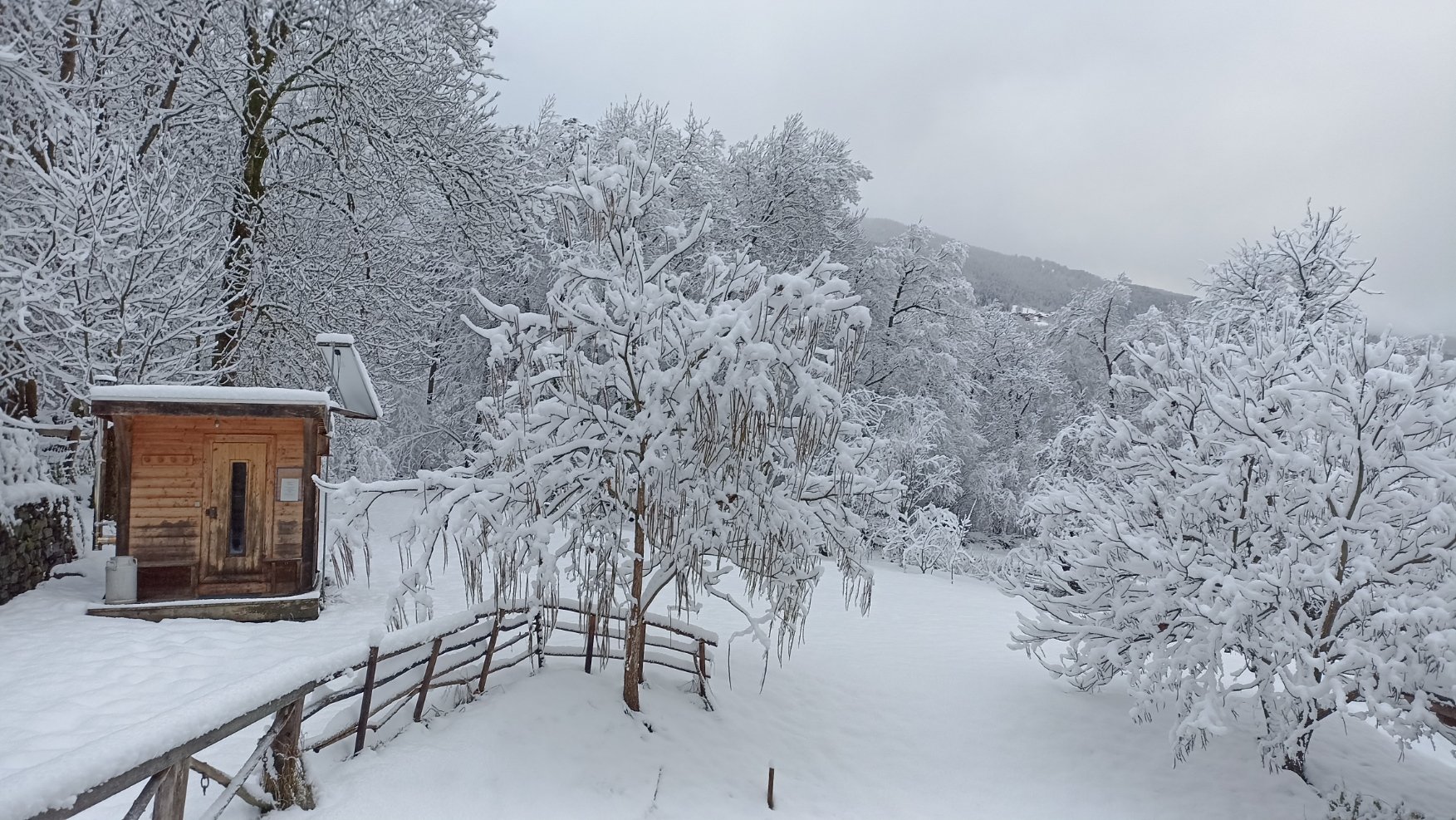 Vue du séjour sur le sauna Nature Ski Lodge Sterwen