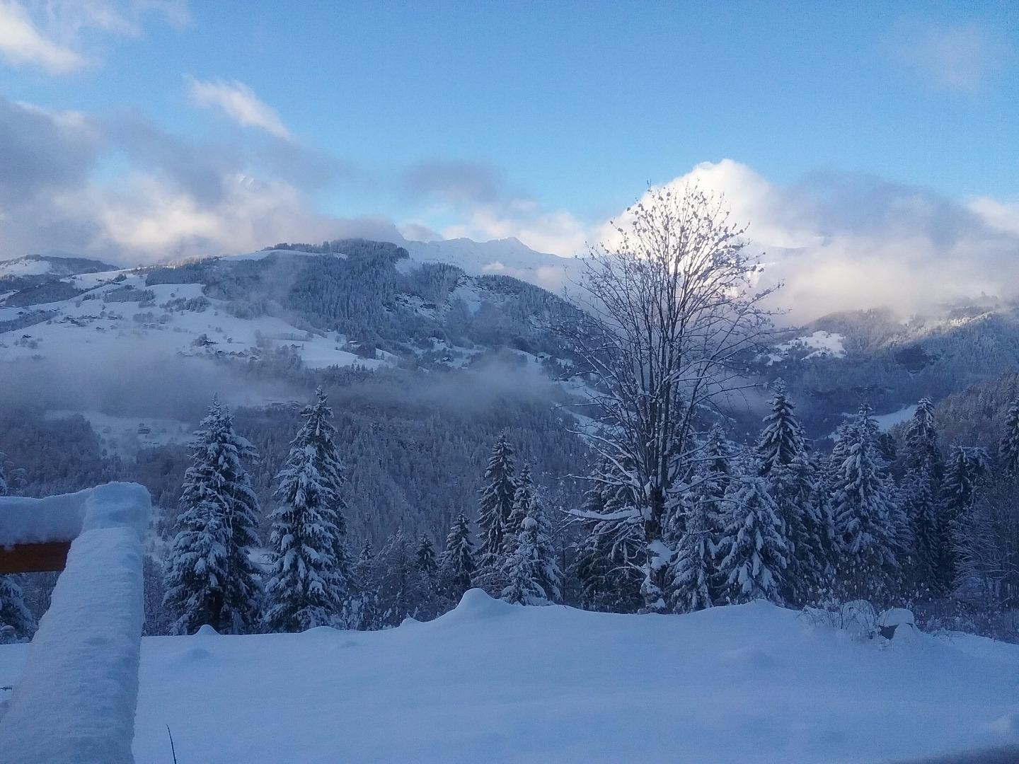 vue d'une des baie vitrée du séjour 