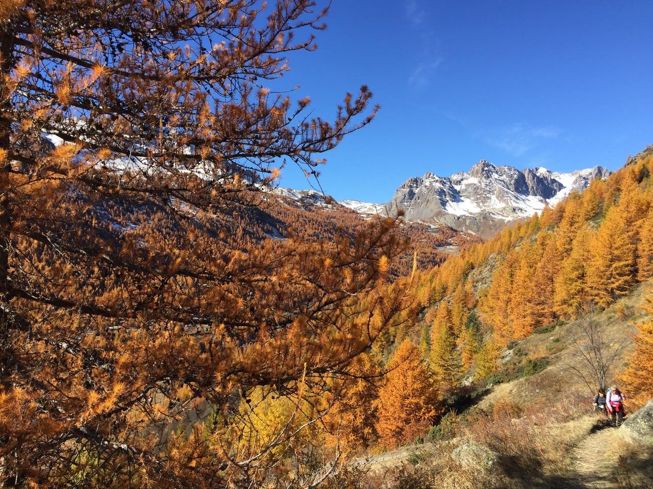 Photo location 16572