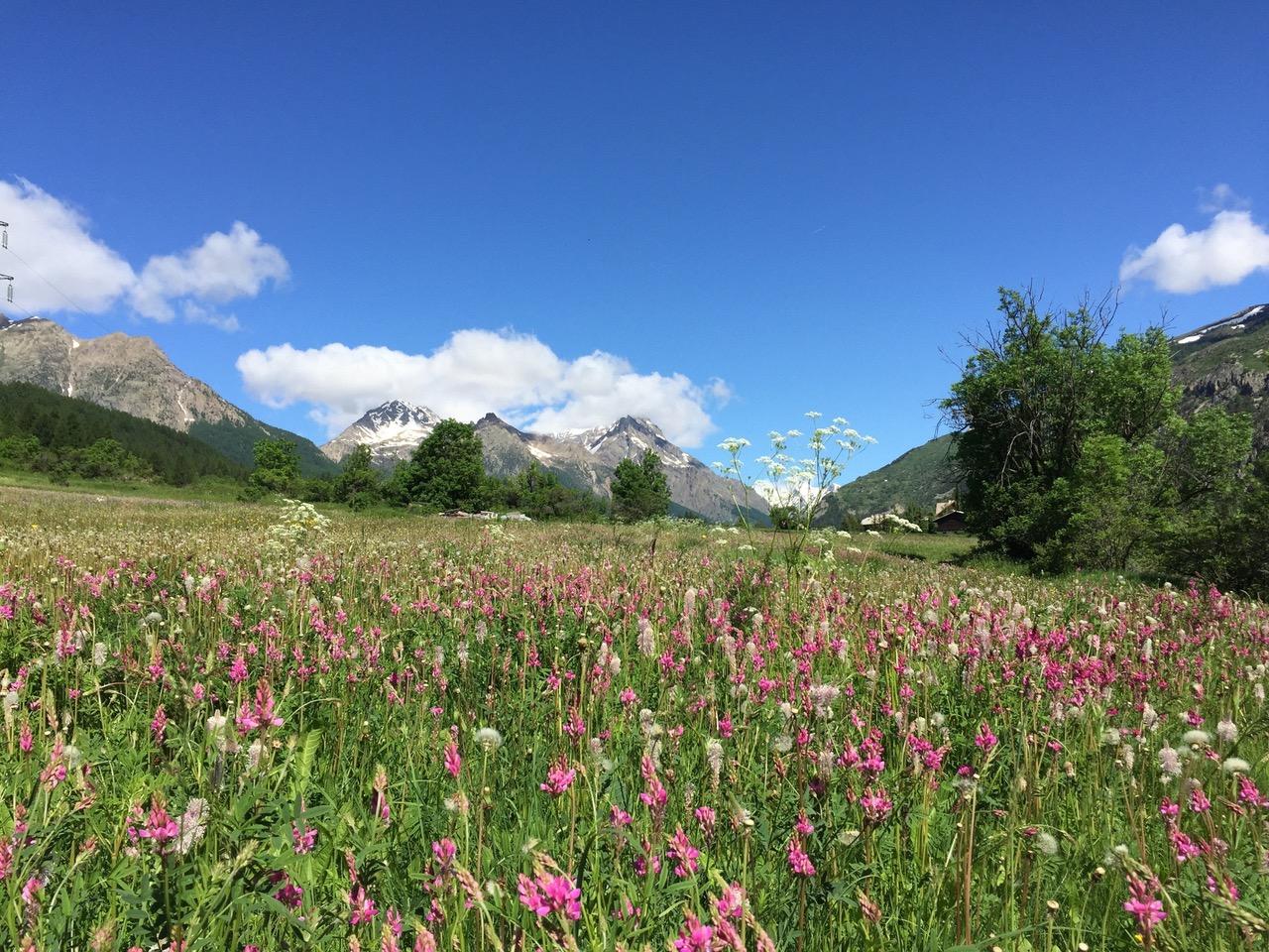 Photo location 16572