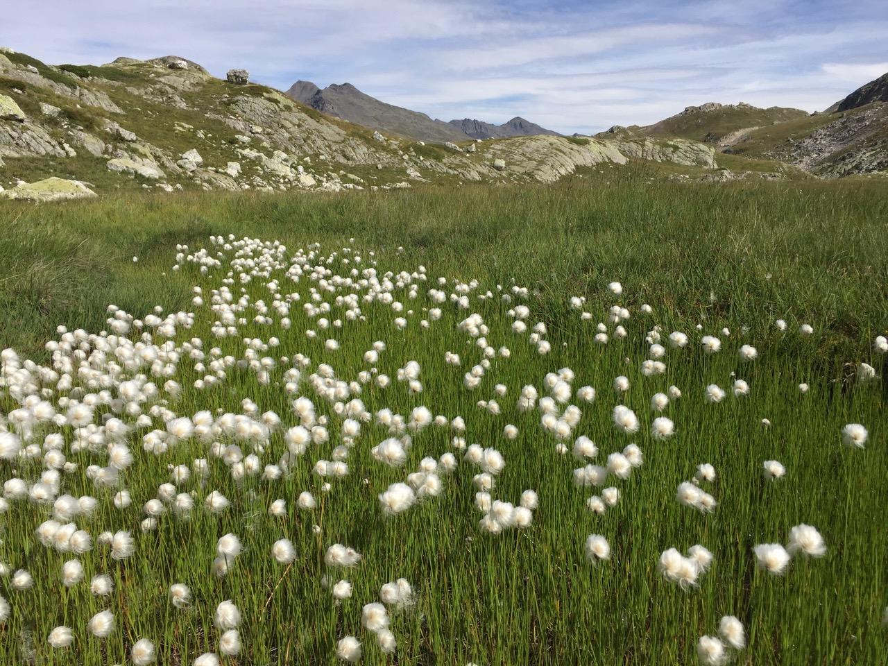 Photo location 16572