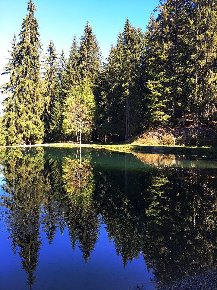 Randonnée lac des Evettes 