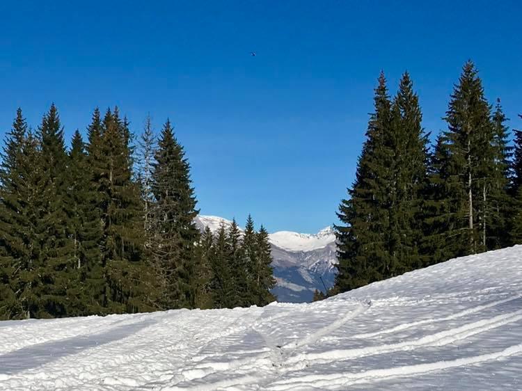 photo Novembre 2018 ( source office du tourisme Praz) Piste des Bernards