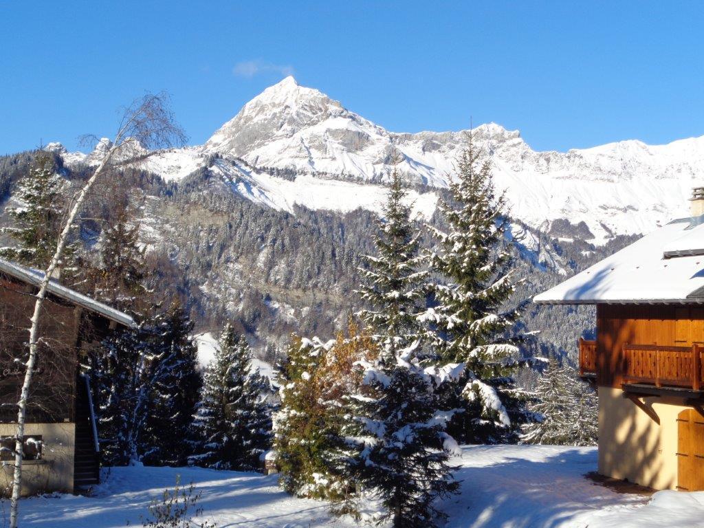 Les ARAVIS vue du chalet 