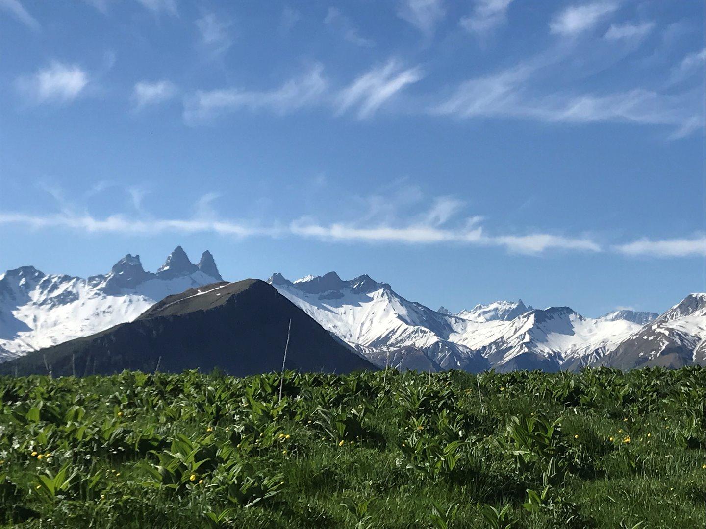 vue sur les Aiguilles D'Arves 