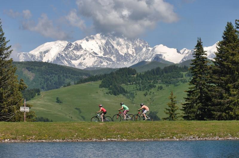 VUE MAGNIFIQUE DU LACHAT AVEC SON PLAN D'EAU ET LA CHAINE DU MONT EN TOILE DE FOND !!!