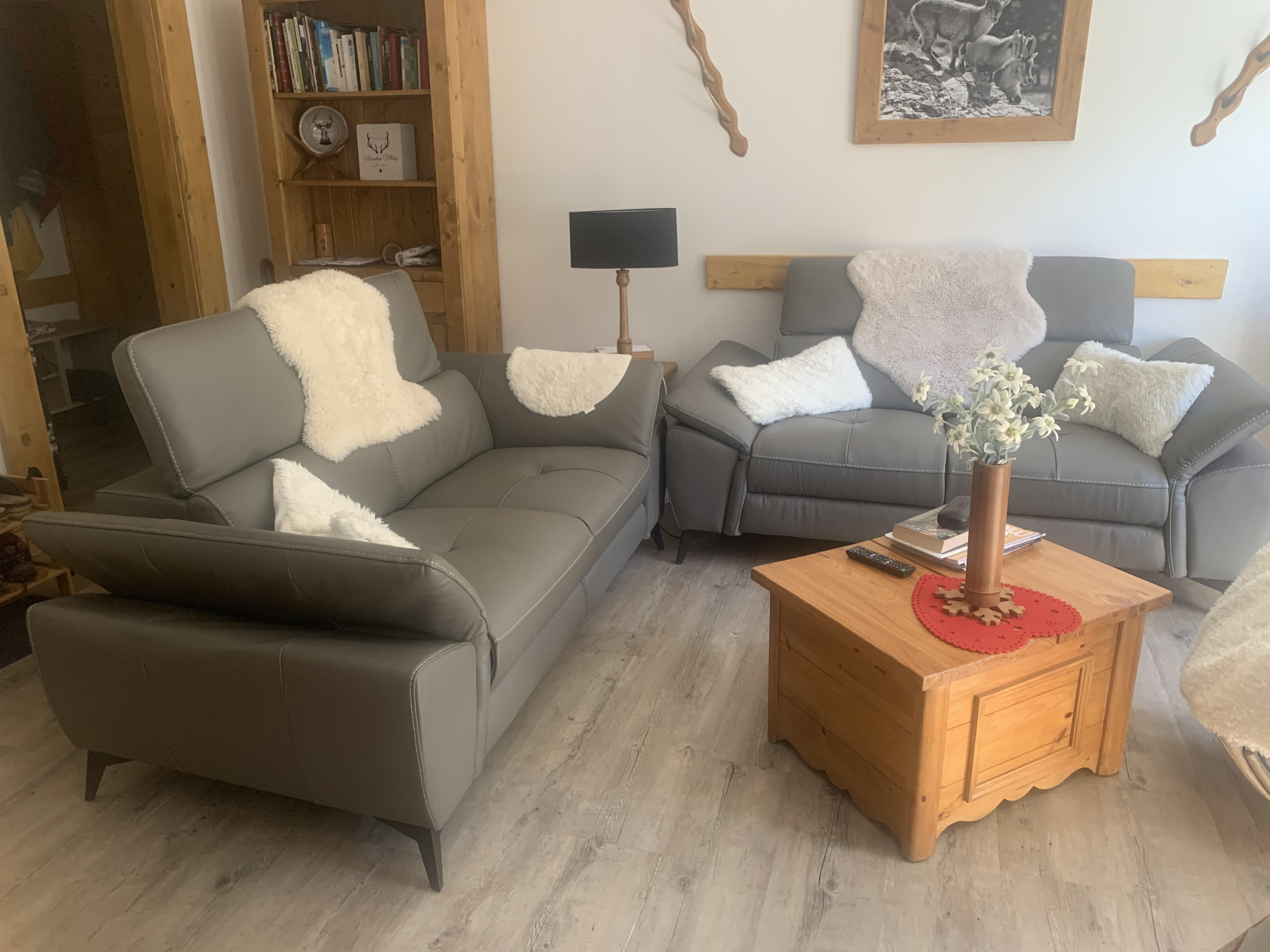 SALLE DE SEJOUR  COTE REPOS TELEVISION