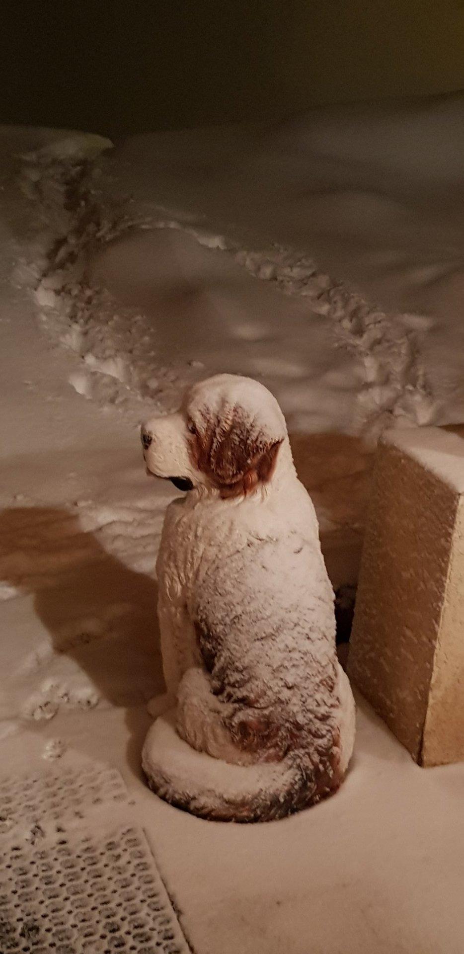 snow