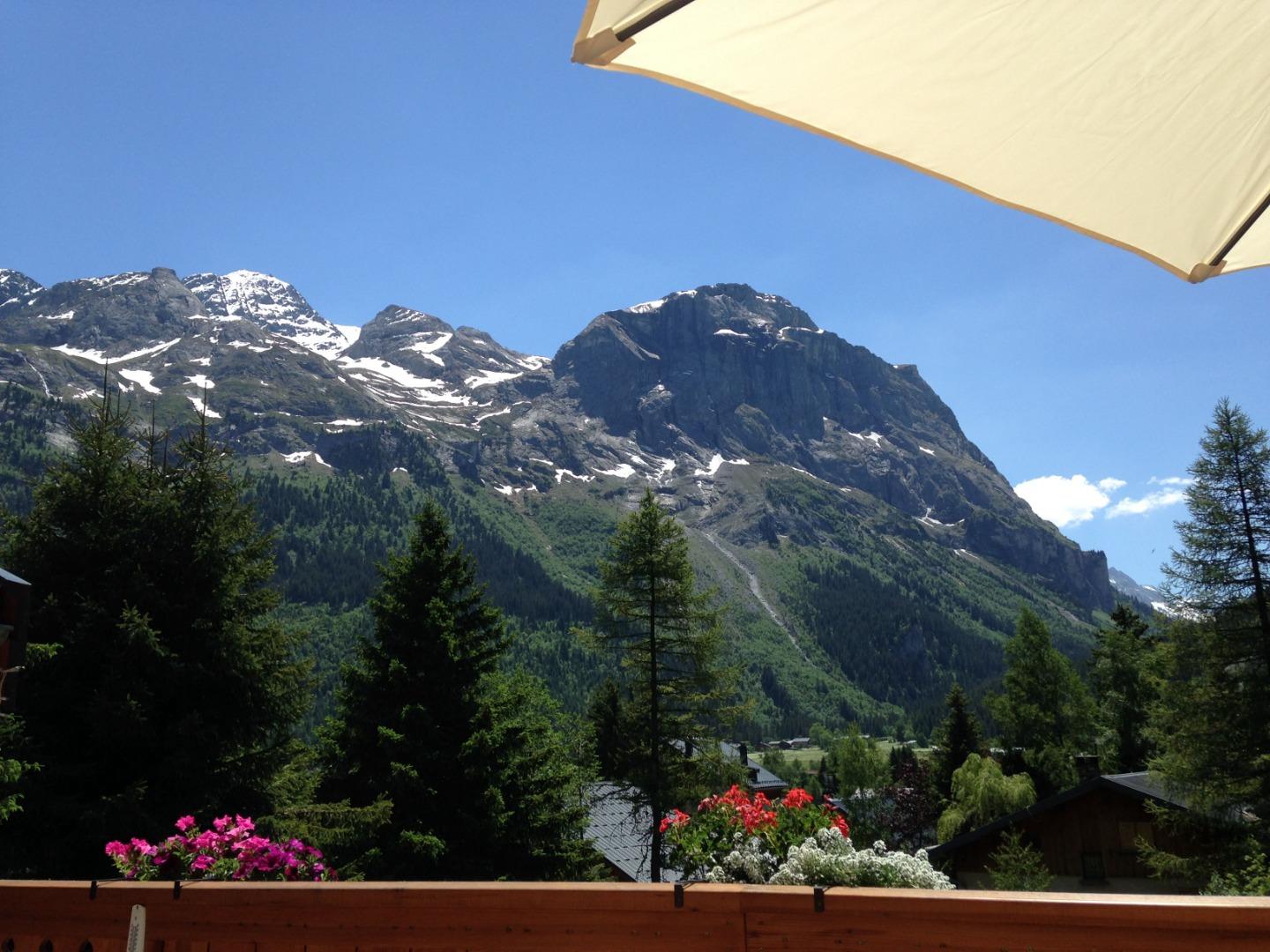vue de la terrasse l'été