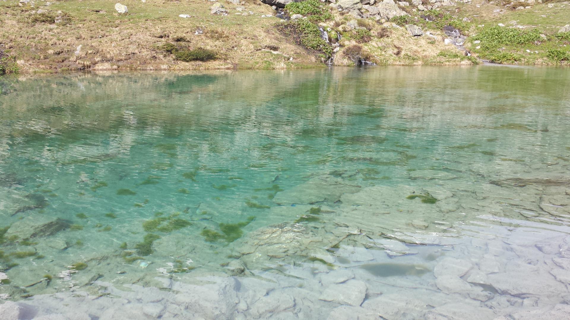 le lac vert