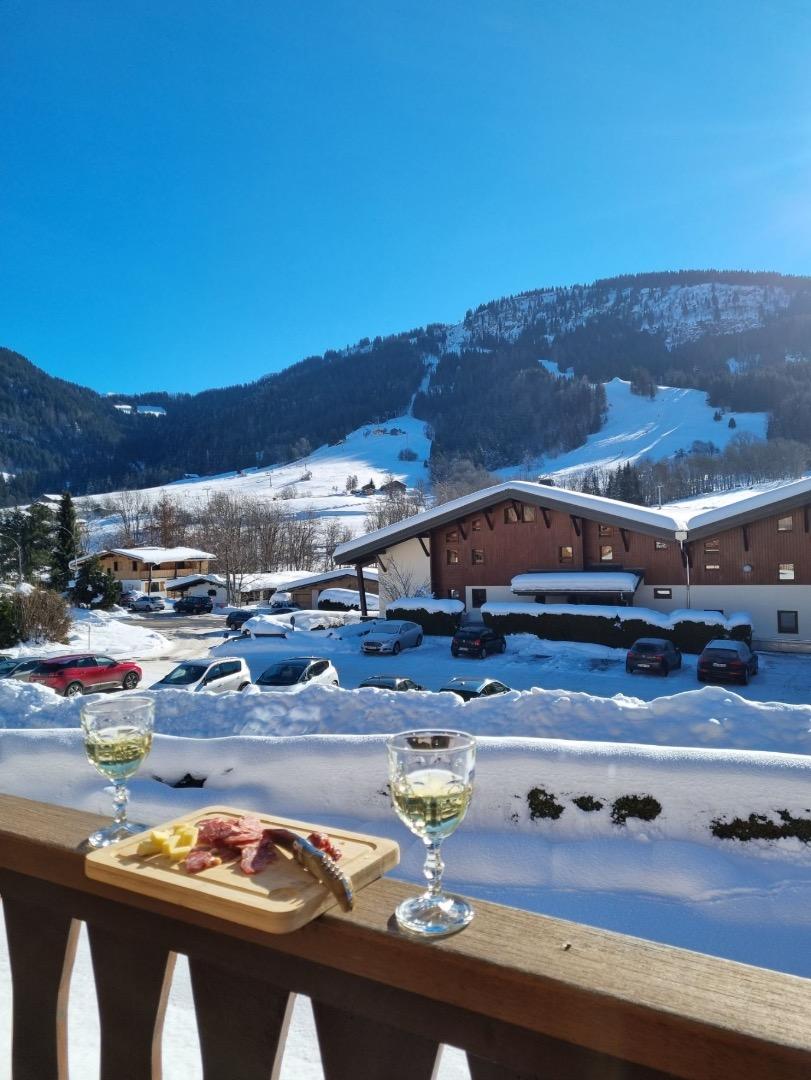Vue sur les pistes 