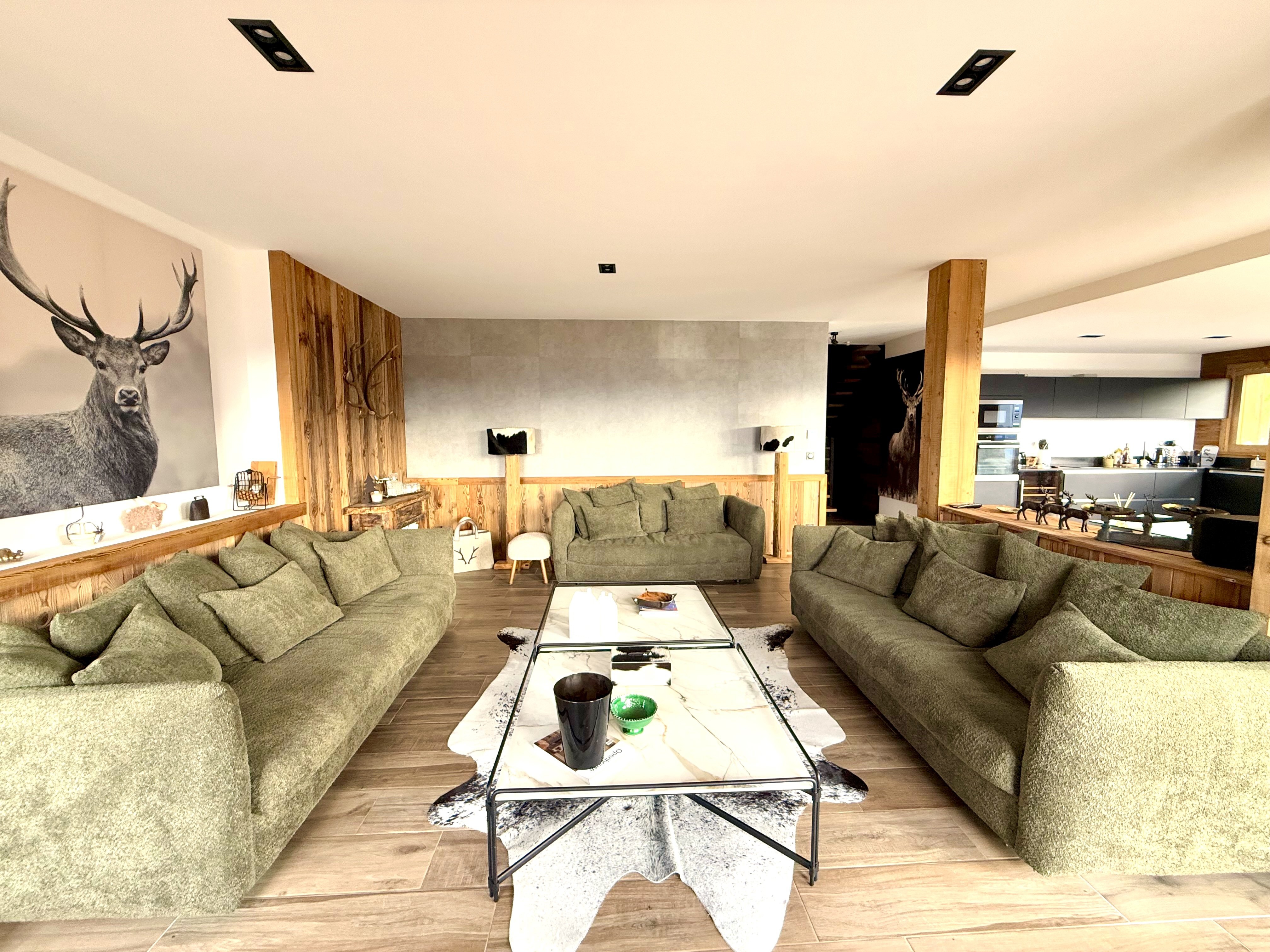 Salon spacieux et haut de gamme