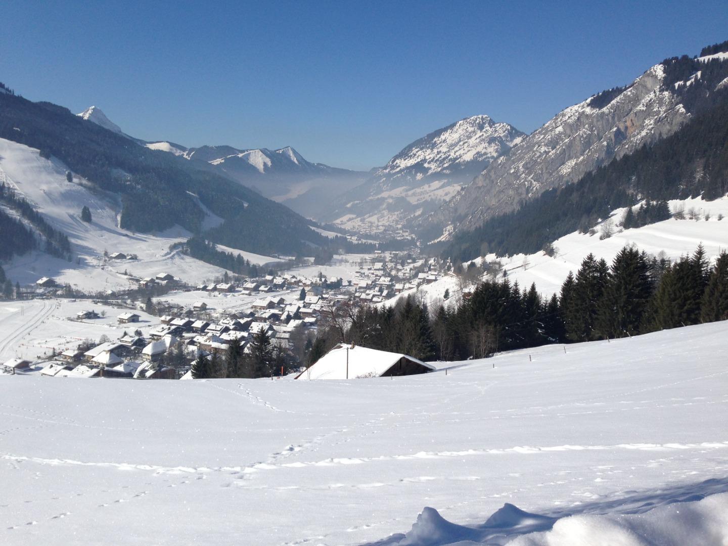 la vue de le chalet avec le pistes en face