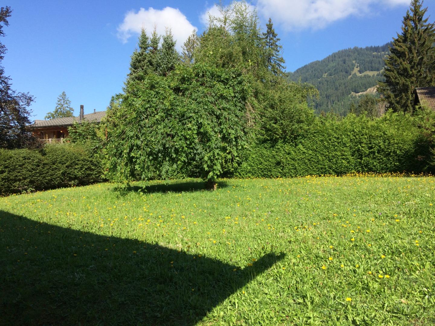 jardin