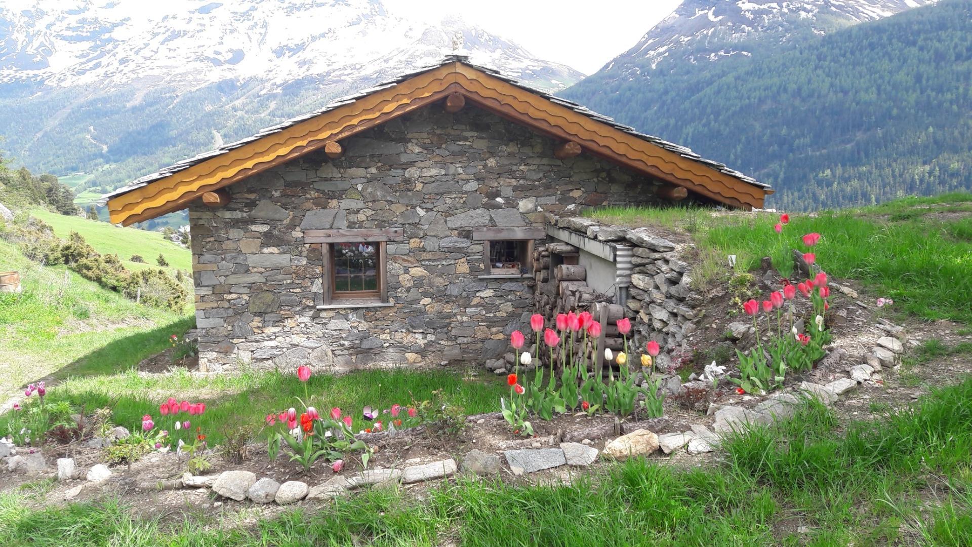 Location Chalet isolé (Alpage, Pistes, Forêt,) Hébergement insolite