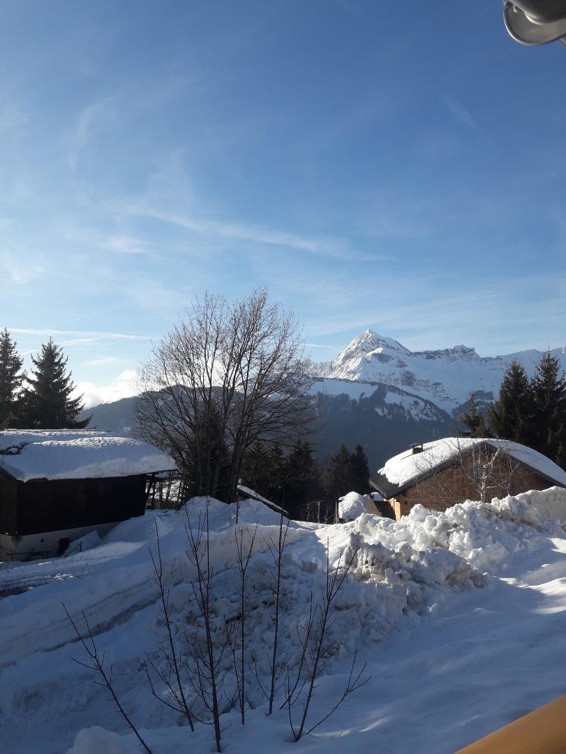 VUE DU CHALET