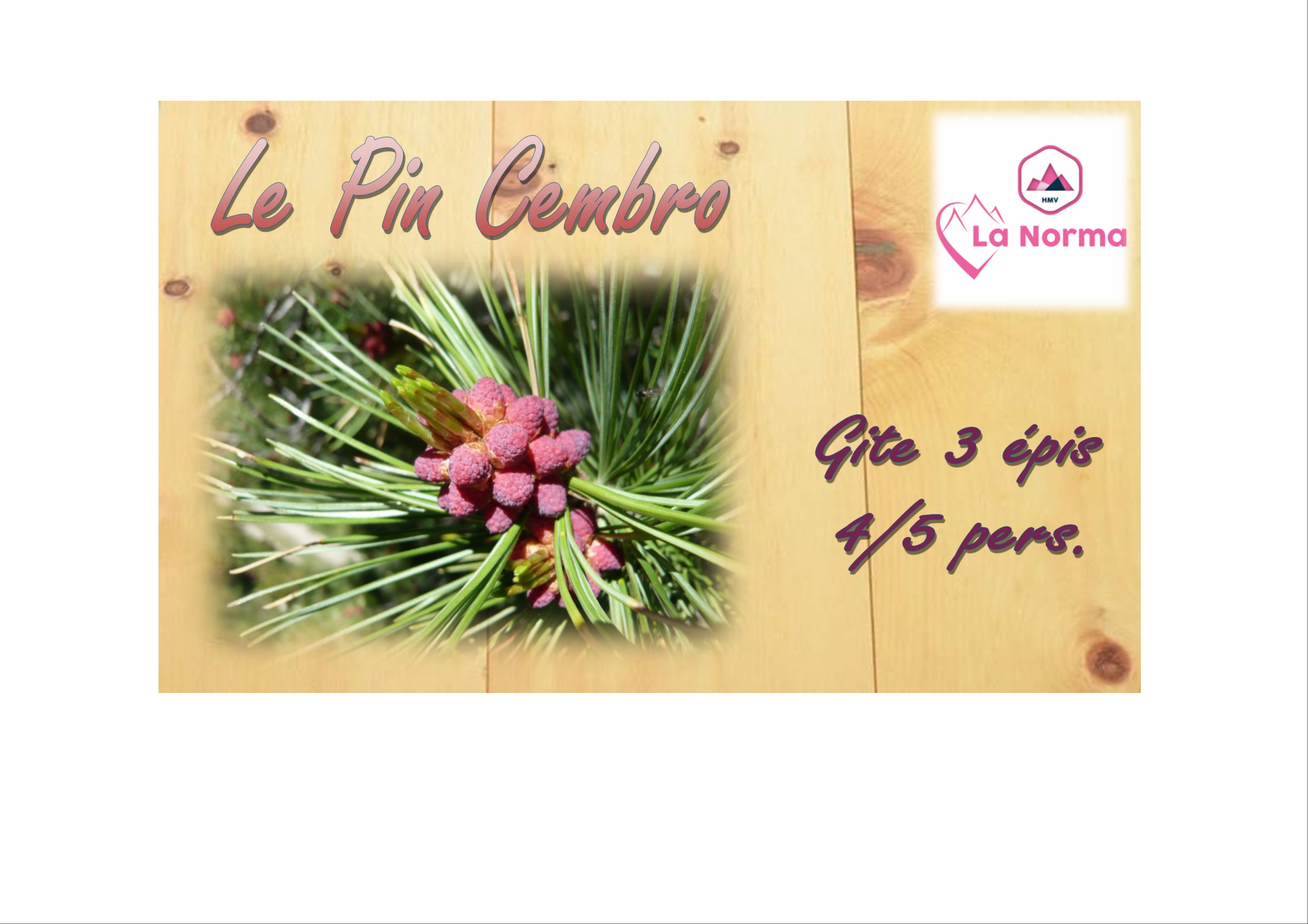  LA NORMA LE PIN CEMBRO GERALDINE et FABRICE