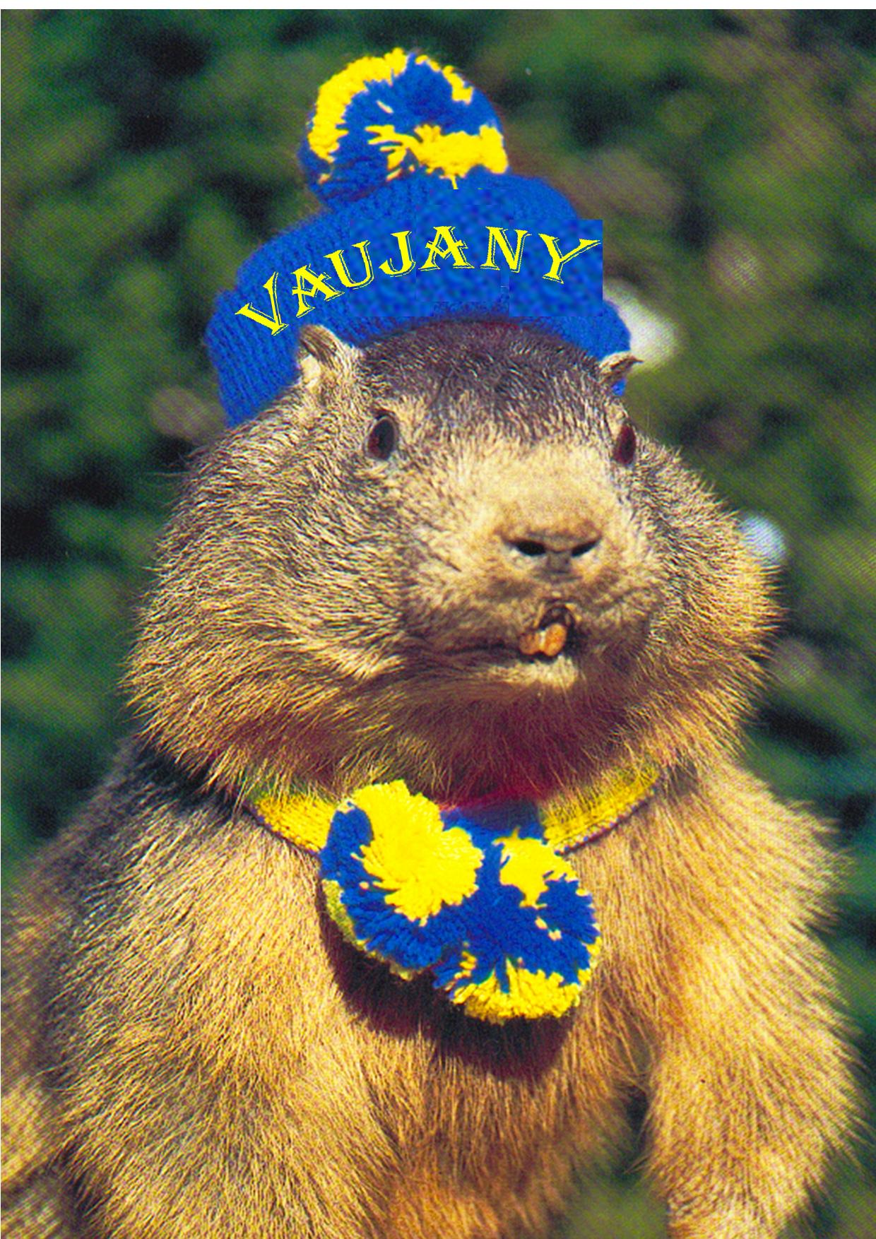 Martine La Marmotte
