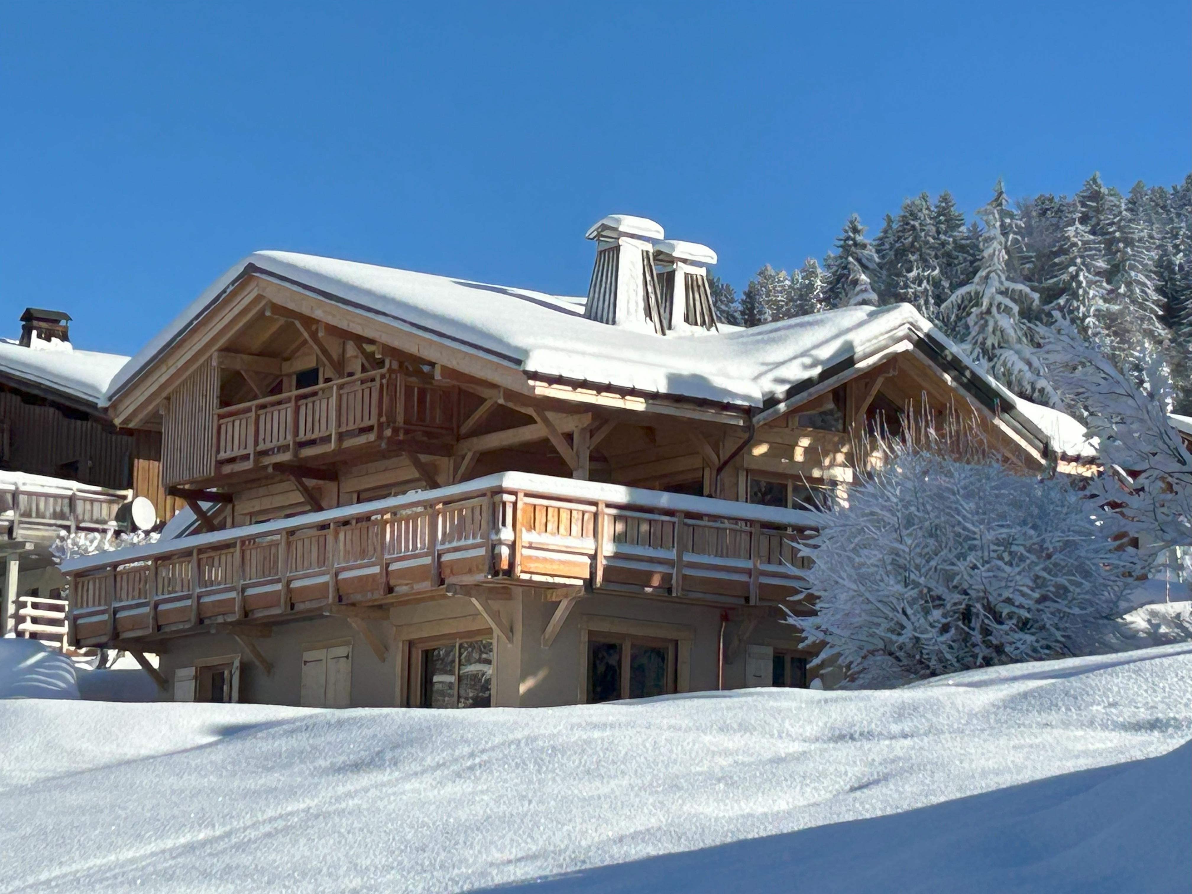 Benedicte COLLET